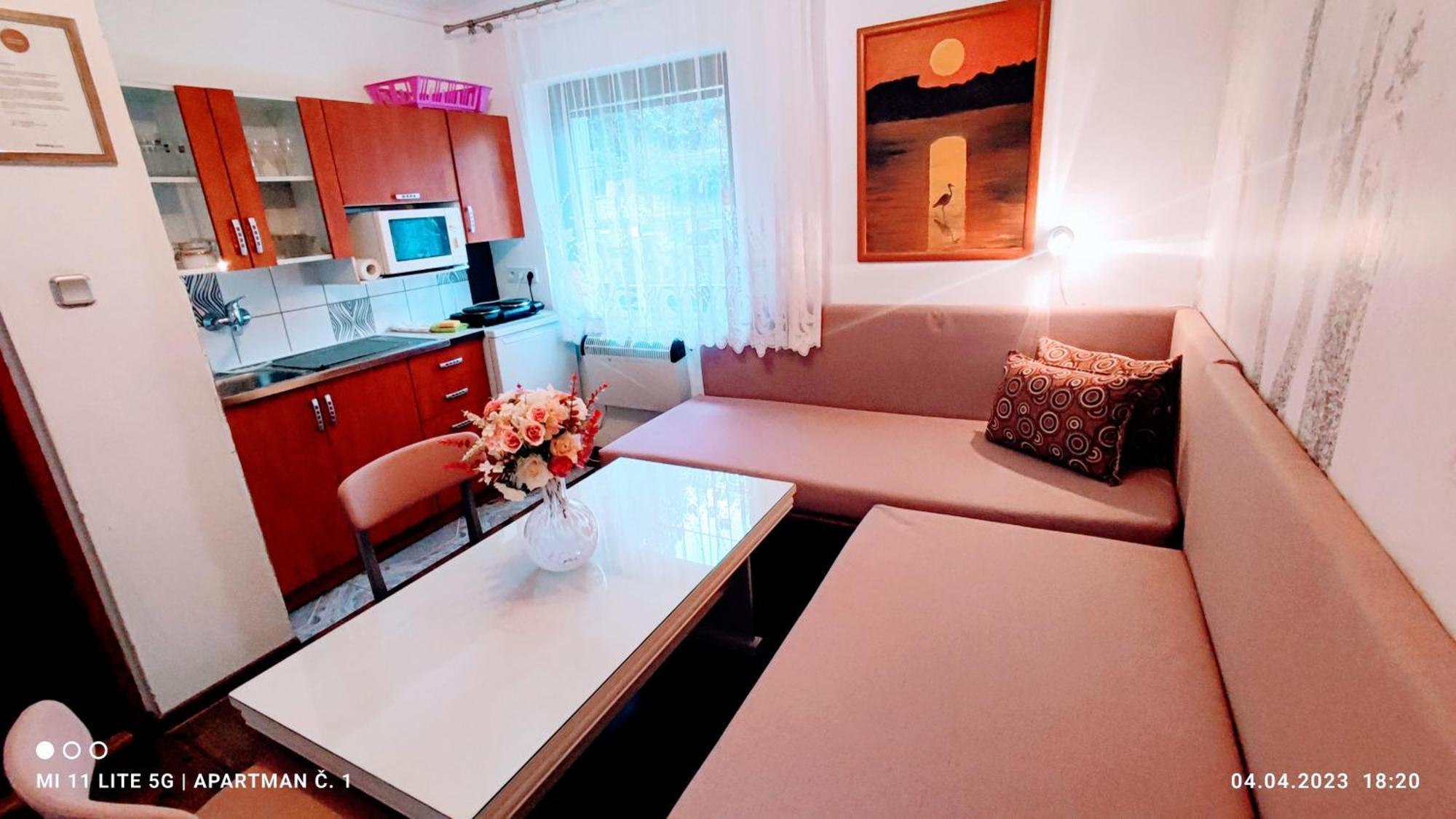 Penzion Pohoda - Apartmany Jeseník Exterior photo